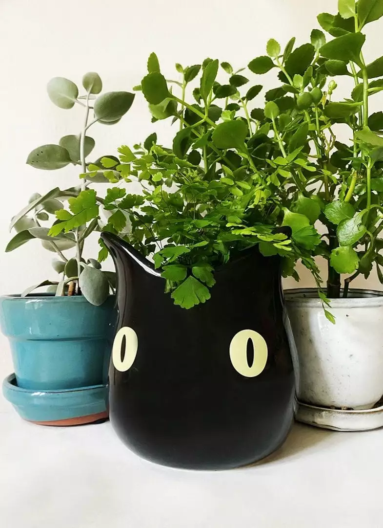 Valfré New Bruno Ceramic Planter