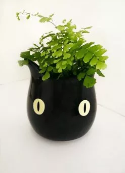 Valfré New Bruno Ceramic Planter